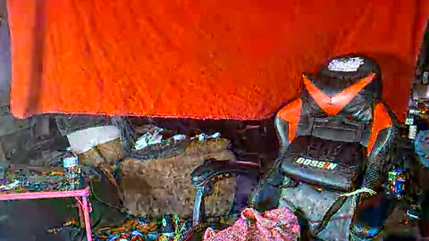 Marcus D-von Steel online show from November 20, 10:58 am