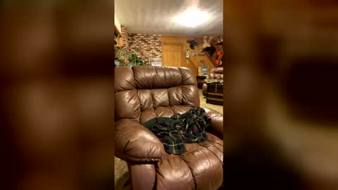 Daddy online show from February 3, 6:40 am