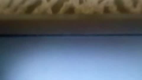 free4fun online show from April 9, 6:30 am