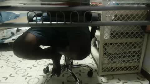 Dark brown with pink head online show from September 23, 6:29 pm