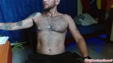Logan - INDEPENDET MODEL online show from June 1, 12:22 am