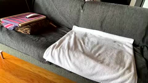 Alfredo online show from February 16, 9:07 am