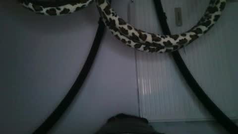 drolyts online show from February 25, 3:07 am