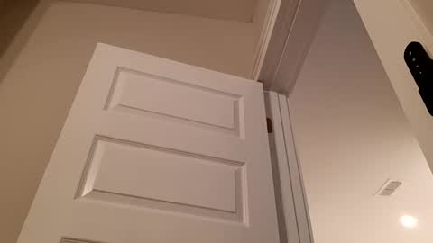 duke_lordly online show from March 10, 4:17 am