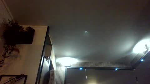 dutchbandito online show from December 5, 8:49 pm