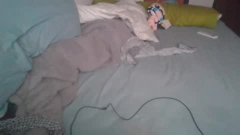 dv3nd3 online show from January 7, 12:21 pm