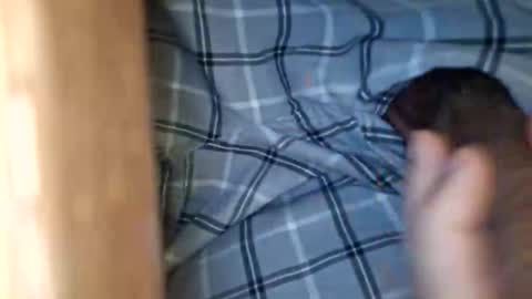 dVe1oPe online show from January 8, 9:58 am