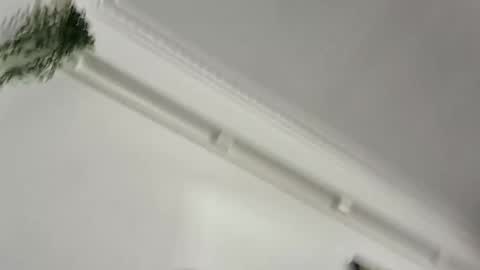 Easyin online show from December 18, 3:13 am