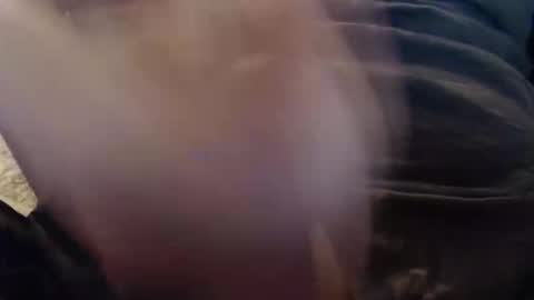 eat_a_peach2 online show from January 15, 1:31 am