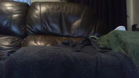 Ectopicstarfish online show from December 3, 9:42 am