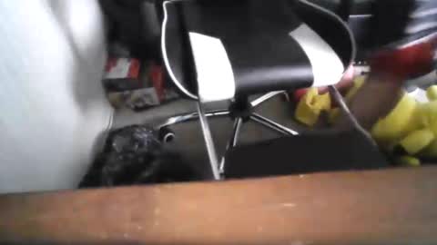 eddy815 online show from November 24, 10:55 pm