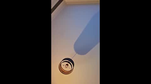 edinburgh79 online show from April 4, 9:34 pm