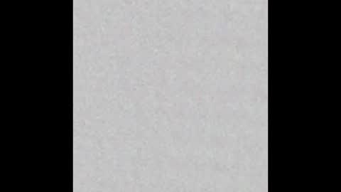 elephant_titus online show from January 20, 11:02 am