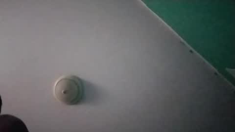 experttreecompany online show from February 15, 7:51 am