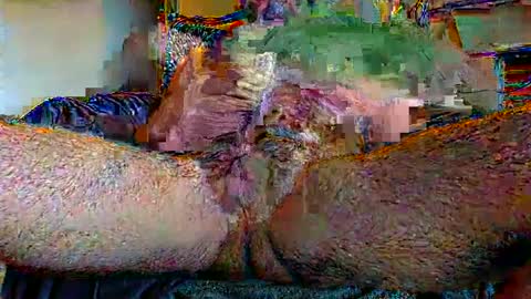 exquis online show from December 14, 11:39 am