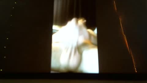 falushp online show from January 17, 7:30 am