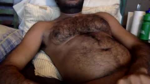 HairyBrownGuy online show from February 21, 11:11 am