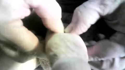 felicaste online show from March 8, 3:22 pm