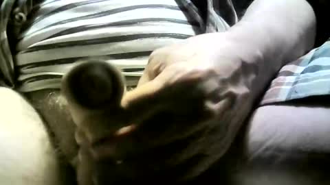 felicaste online show from December 5, 11:51 pm