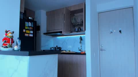 Elias Valencia online show from December 17, 4:43 pm