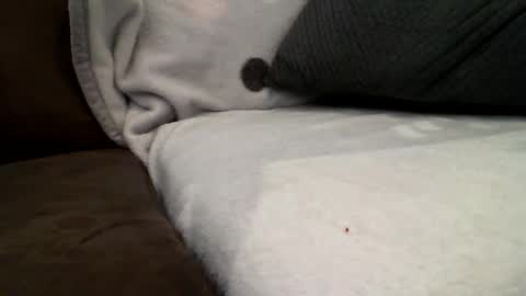 flash online show from February 3, 2:53 am