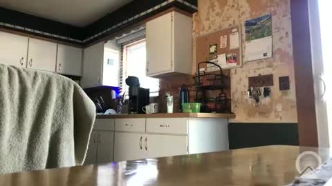 Frank online show from April 8, 12:36 pm