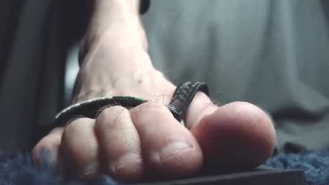 Greedy Fred online show from February 9, 3:55 am