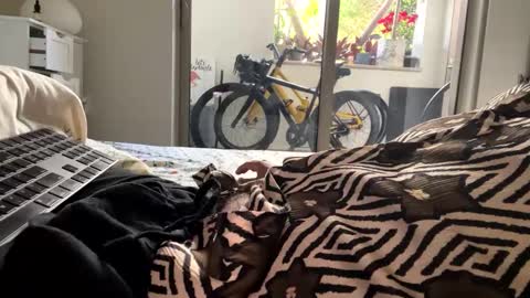 fuklicious online show from January 29, 4:30 pm