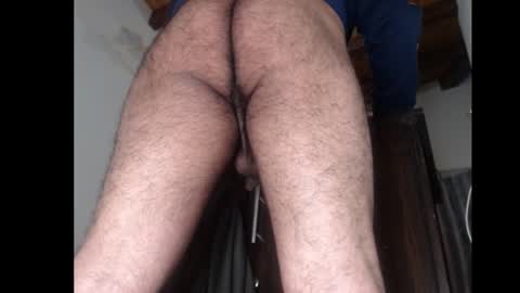 FurryAss online show from January 15, 9:02 am