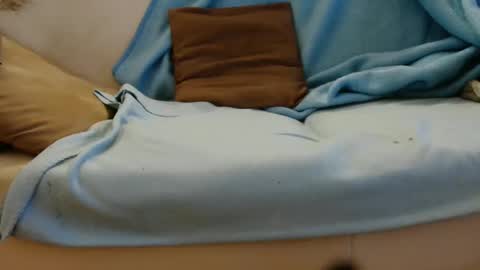 germanandy71 online show from February 17, 6:51 pm