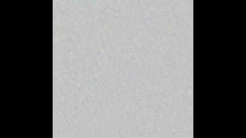 germanfleipei online show from October 24, 11:56 am