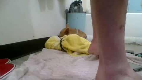 gezuz42069 online show from January 28, 8:26 pm