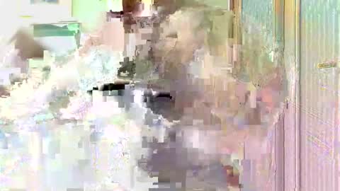 giann005 online show from May 20, 2:23 pm