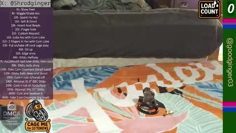 good-ginger online show from October 1, 5:00 am