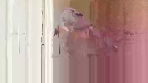 goodguy14444 online show from September 16, 6:42 pm