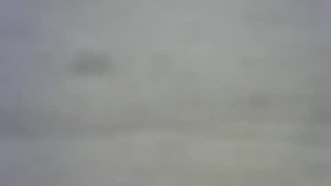 greekmeal1234 online show from February 27, 8:09 pm