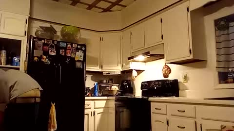 greenbastard78 online show from February 2, 10:51 pm