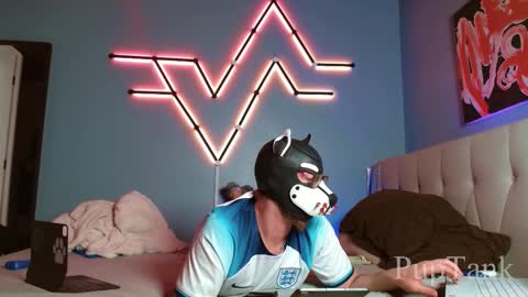 Snapshot of growingcub94 chatting on October 22, 8:00 pm Alpha pup online show from October 22, 8:00 pm