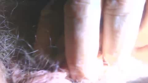 hagridthehorrible online show from January 19, 11:56 am