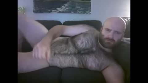 Hairiest Bear online show from May 24, 9:48 am