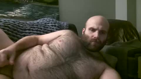Snapshot of hairiestbear chatting on January 17, 7:41 am Hairiest Bear online show from January 17, 7:41 am