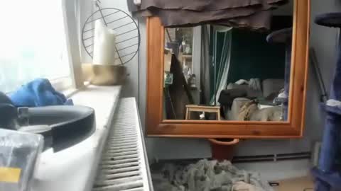 handncocknocum online show from December 17, 11:17 am