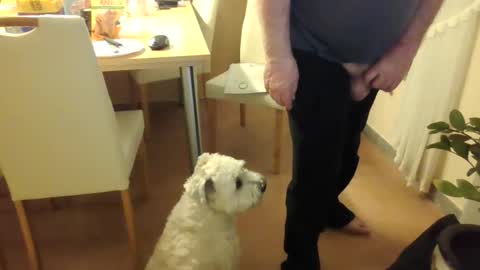 harald1234 online show from February 21, 1:56 pm