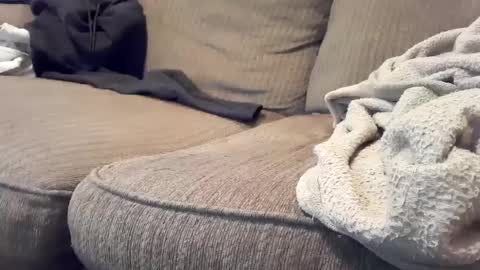 hardcock2share online show from February 16, 6:21 pm