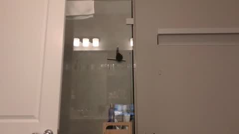 HcoreMike online show from December 14, 11:12 pm