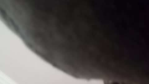 hardfux4fun online show from January 8, 8:41 am