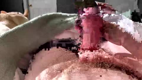 hardnthickm55 online show from November 9, 3:38 pm