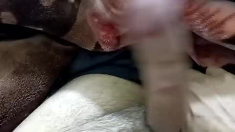 hash86194455 online show from December 26, 6:22 pm