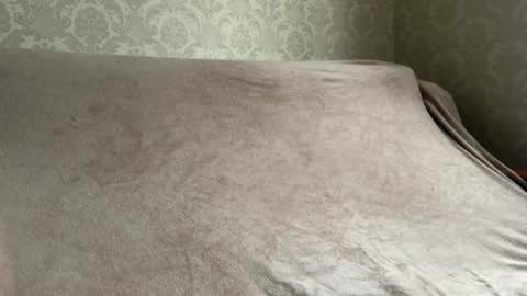 Nick online show from November 24, 11:33 am