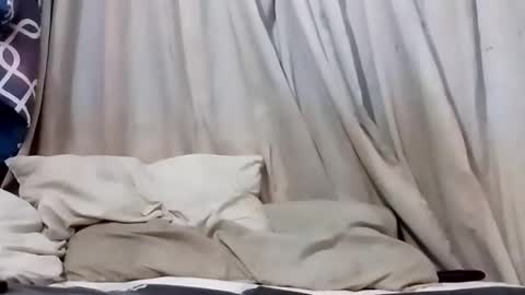 Andrew online show from April 1, 4:03 am